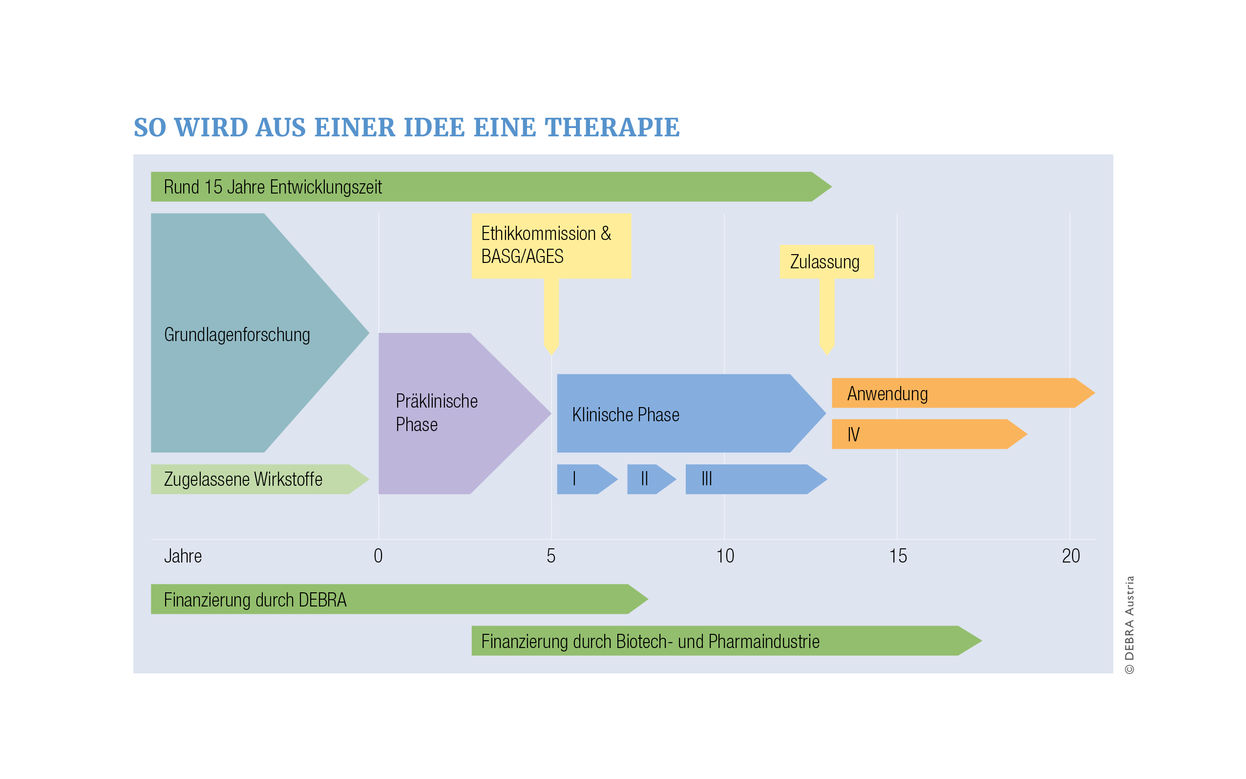 Graphik Von der Idee bis zur Zulassung-Therapieentwicklung von DEBRA Austria