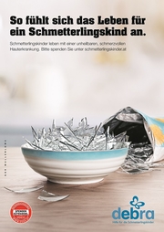 Schüssel mit Chips aus Glasscherben