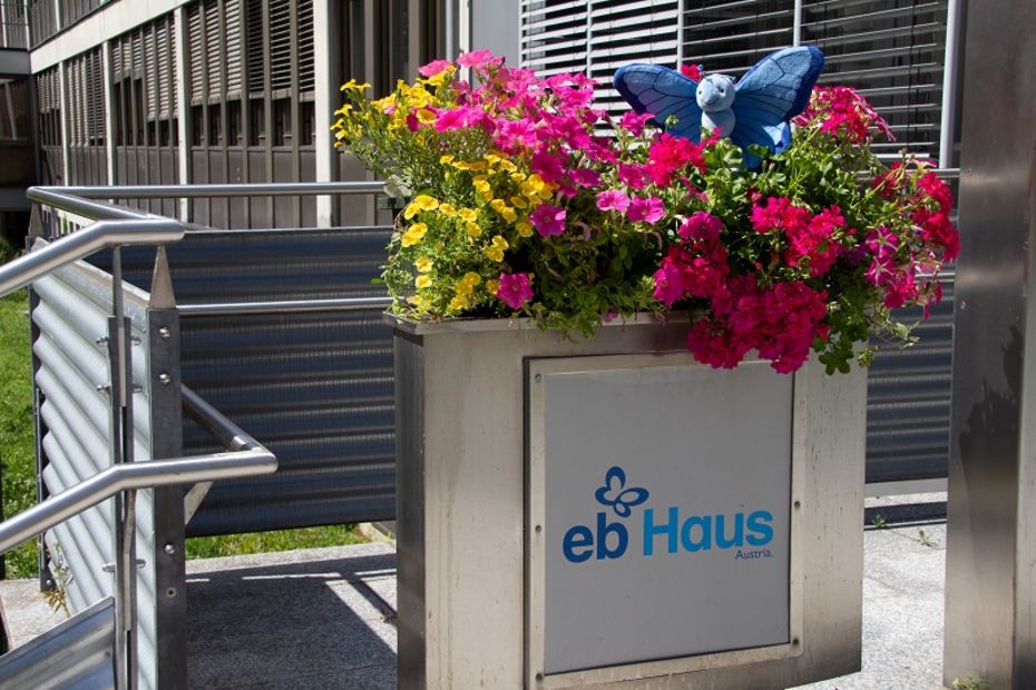 DEBRA Stoffschmetterling sitzt in Blumentopf vor dem EB-Haus Austria