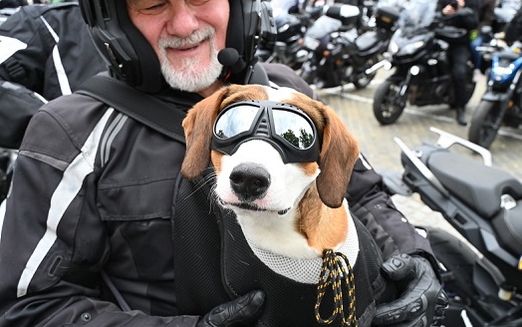 Ein Motorradfahrer hält seinen Hund, der eine Bikerbrille aufhat