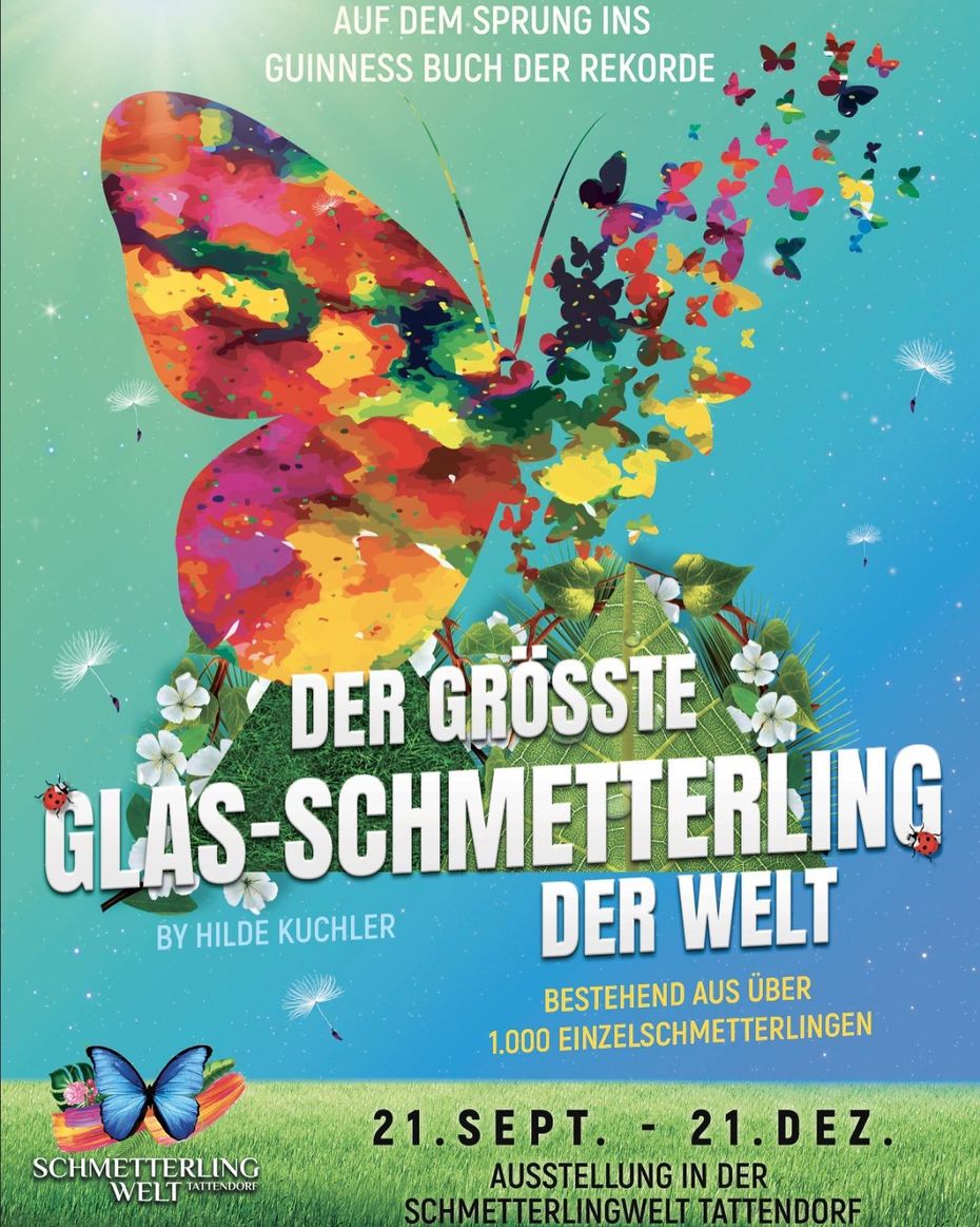 Plakat mit großem Schmetterling