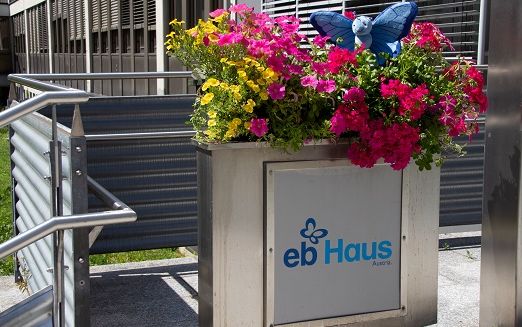 Blauer Plüschschmetterling in Blumentrog vor dem EB-Haus