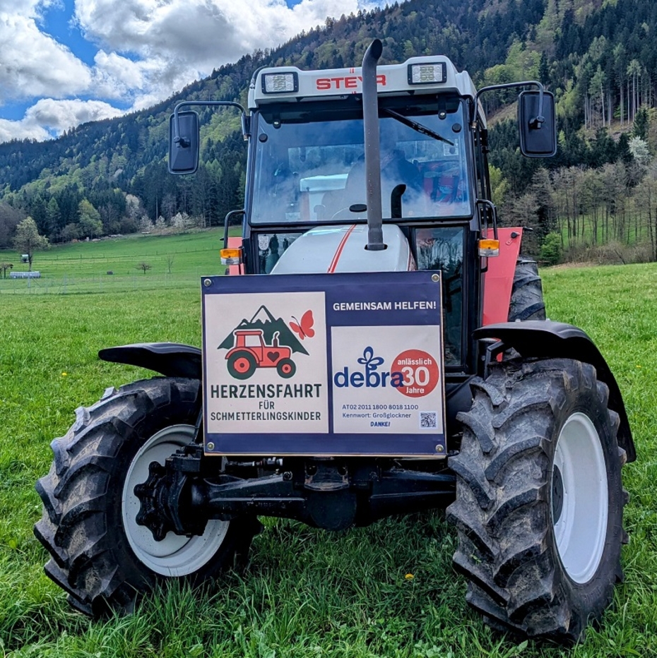 Roter alter Steyr-Traktor mit Schildern beklebt auf einer grünen Wiese